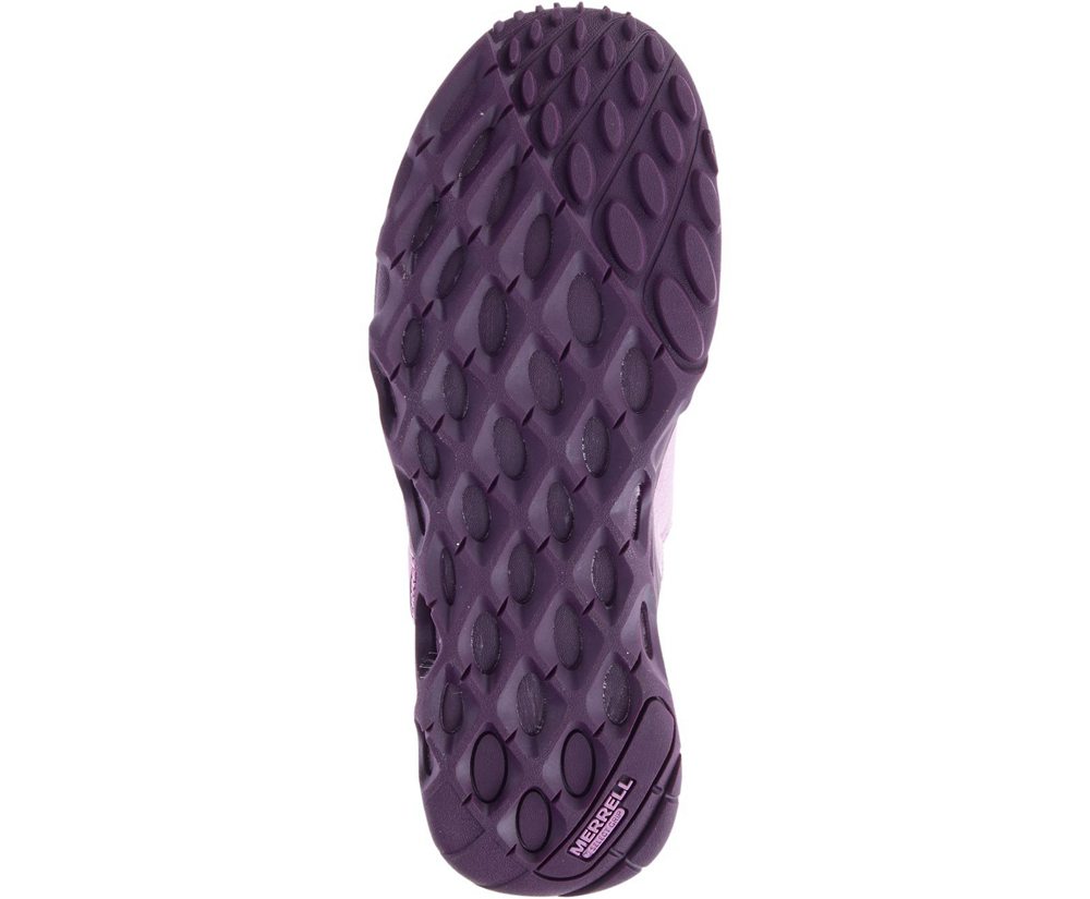 Merrell Sneakers Purple - Range AC+ - Womens 96SCWIGFL